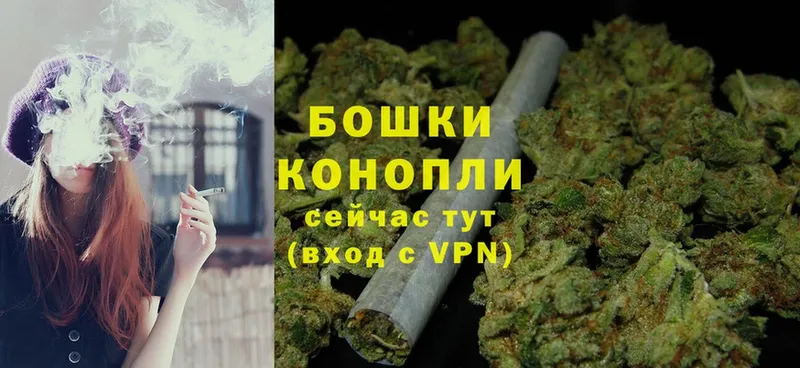 дарнет шоп  Заозёрный  Бошки марихуана OG Kush 